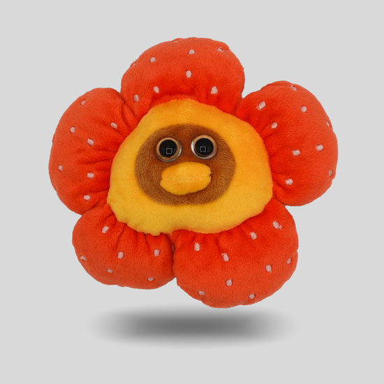 Stinky Flower Peepy (Rafflespy)