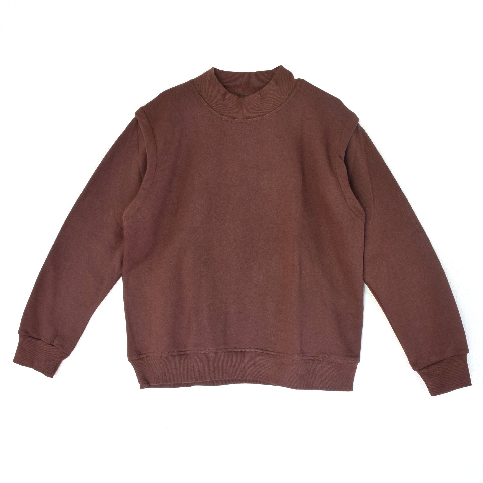 Researcher's Sweatshirt (Brown)